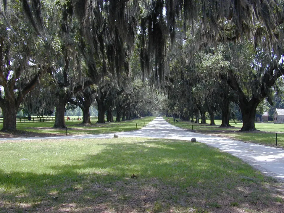 Charleston County