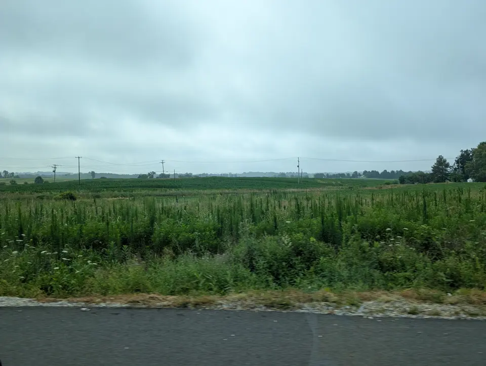 Adams County