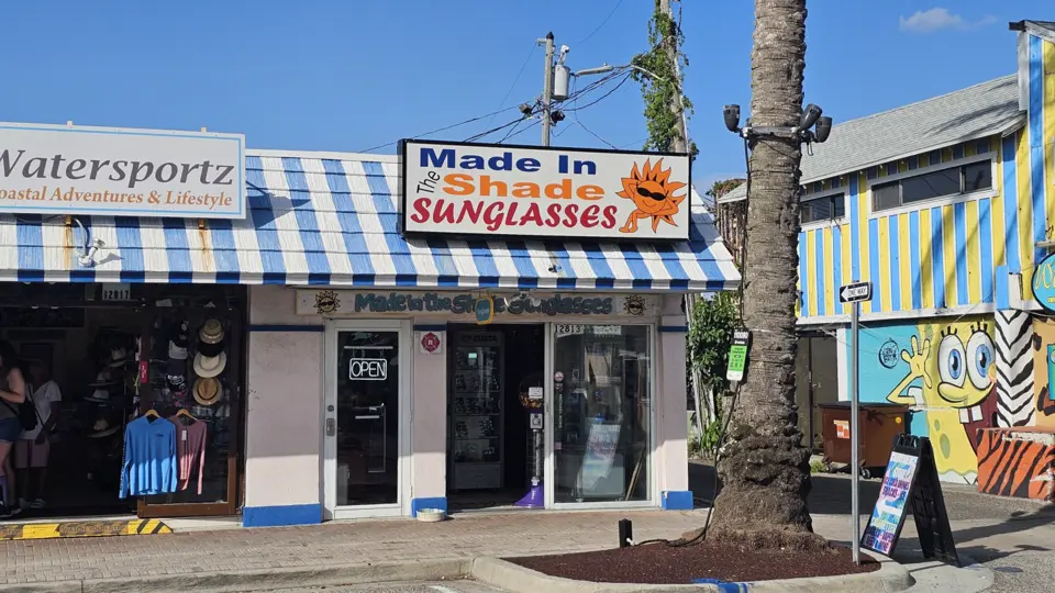 Made In The Shade Sunglasses