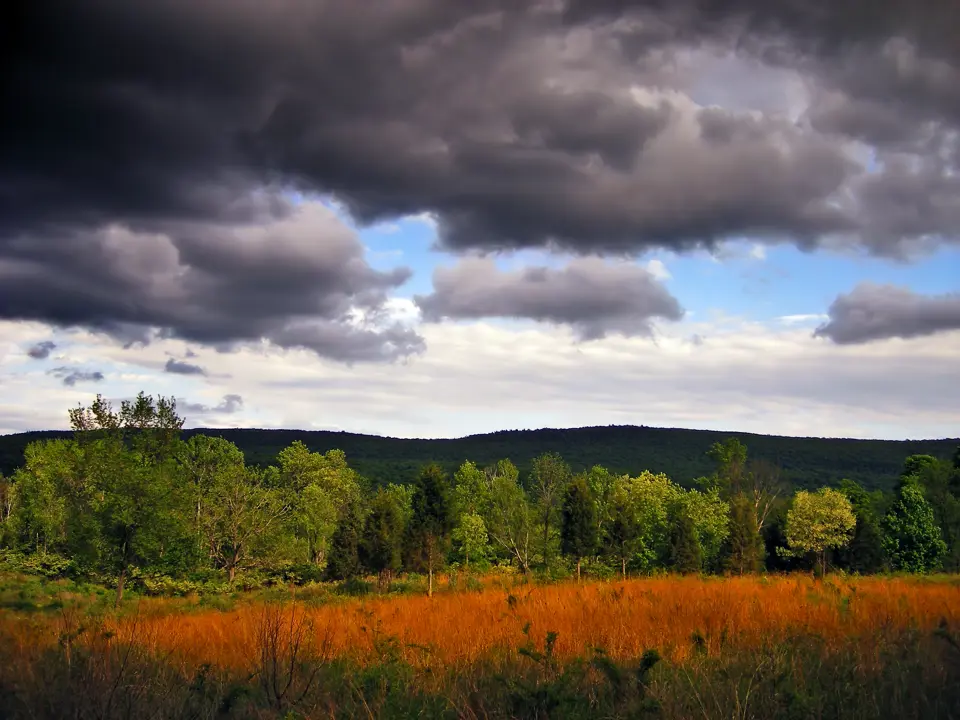 Sussex County