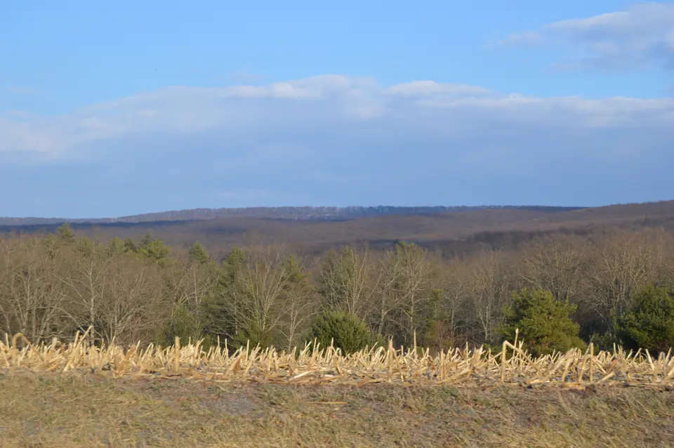 Fulton County