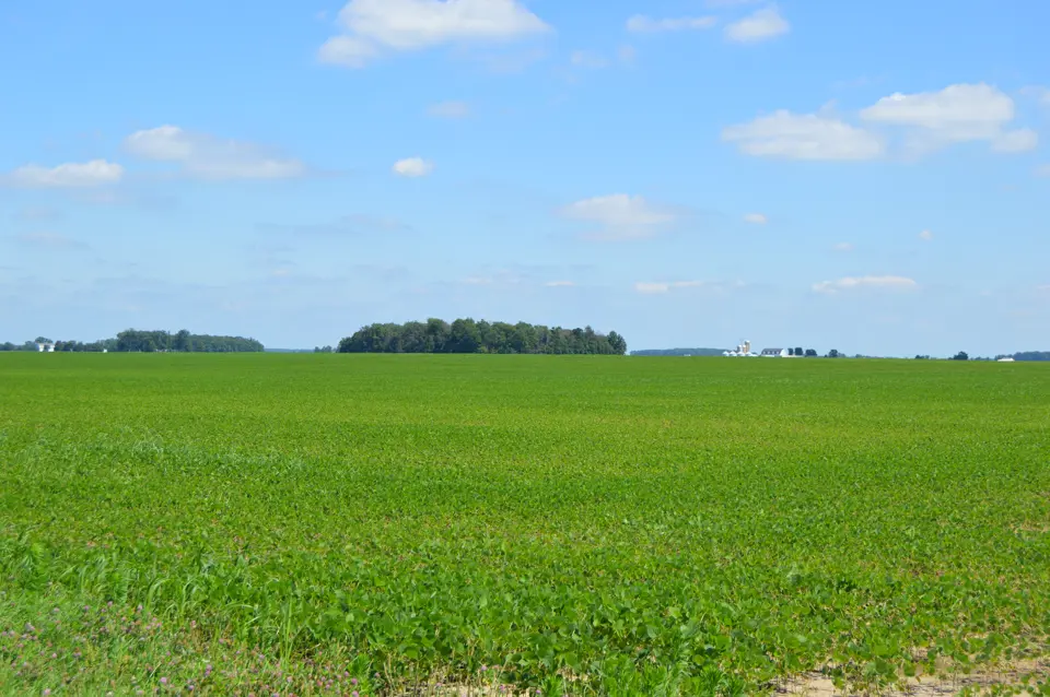 Mercer County