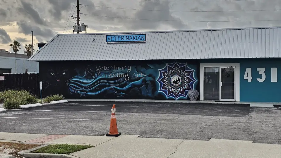 Veterinary Healing Arts