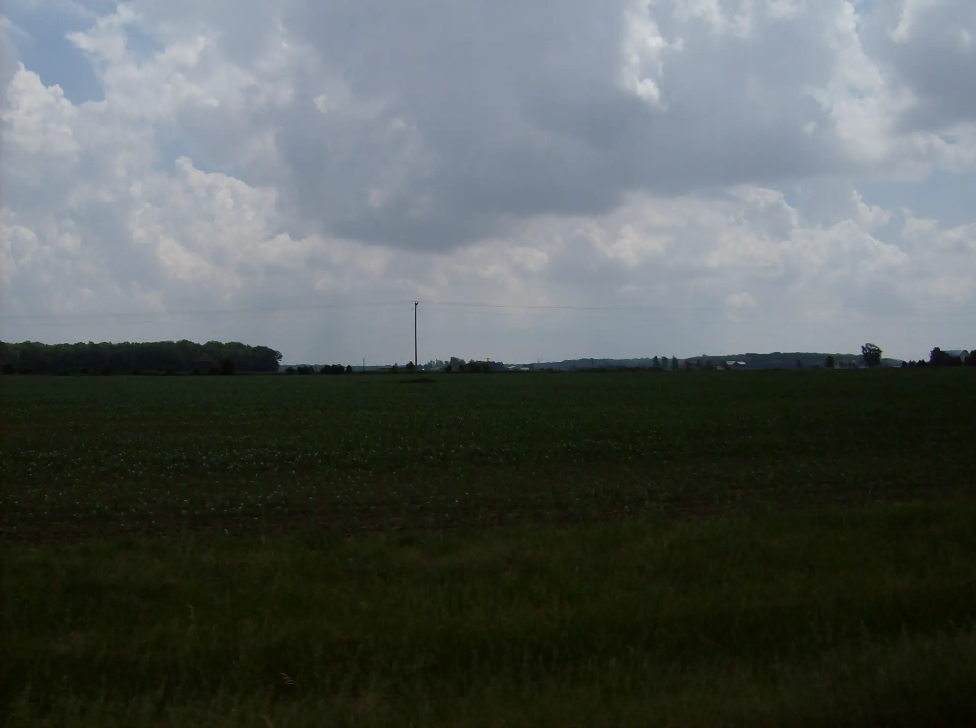 Madison
