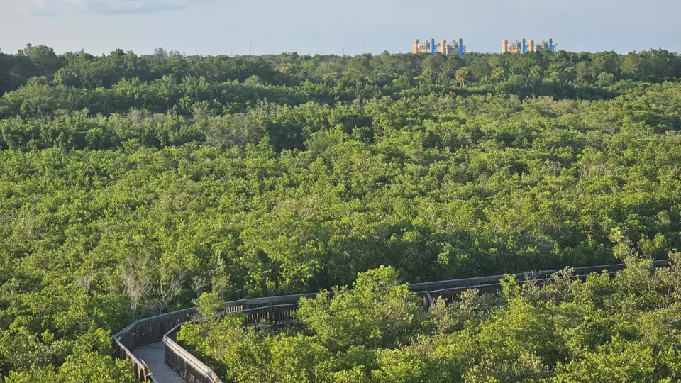 Weedon Island Preserve