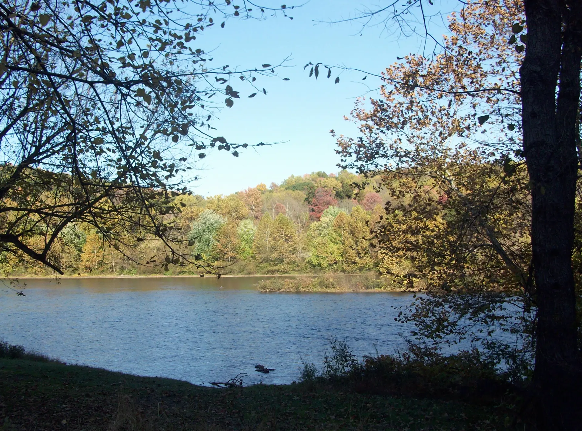 Perry