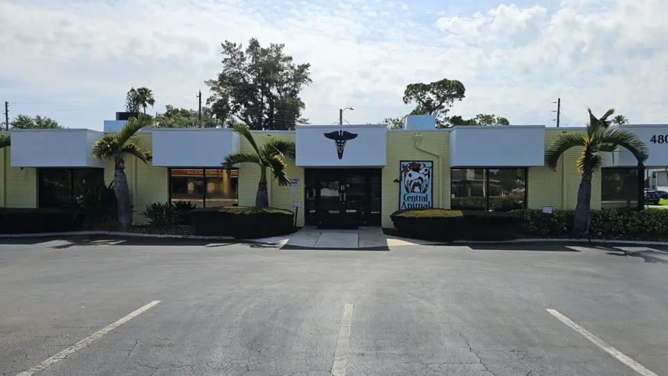 Central Animal Hospital