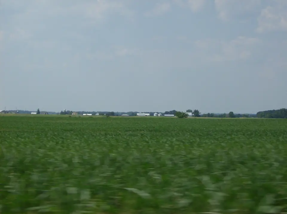 Shelby County