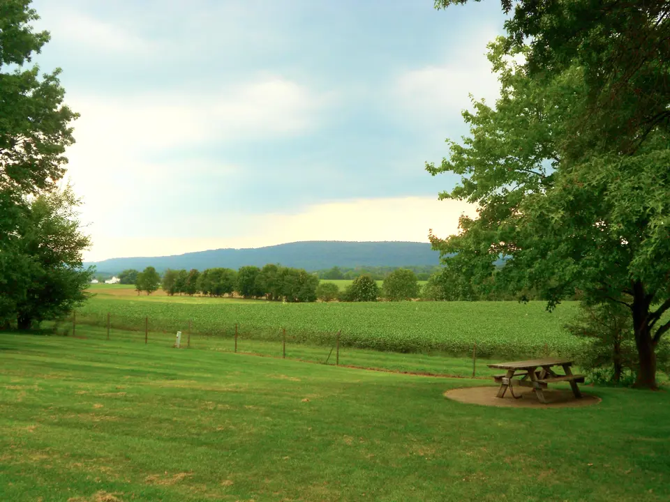 Dauphin County