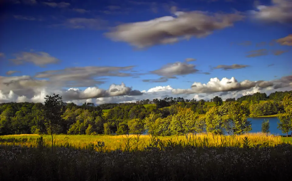 Wayne County
