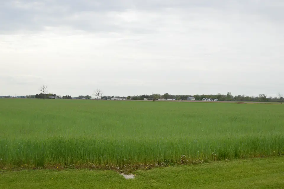 Ottawa County