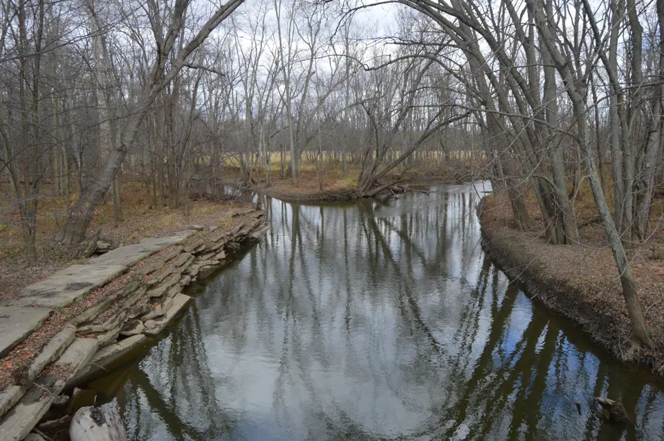 Williams County