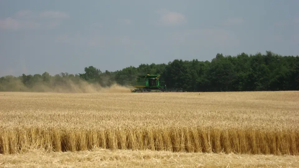 Huron County