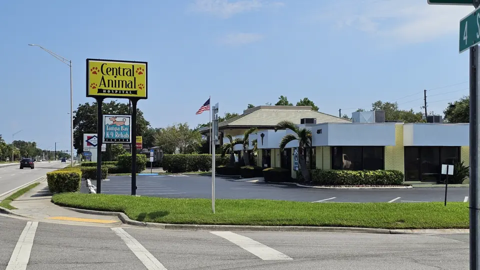 Central Animal Hospital