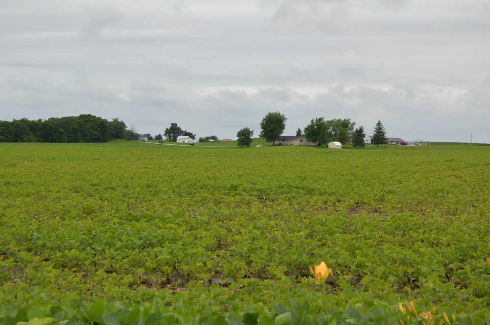 Auglaize County