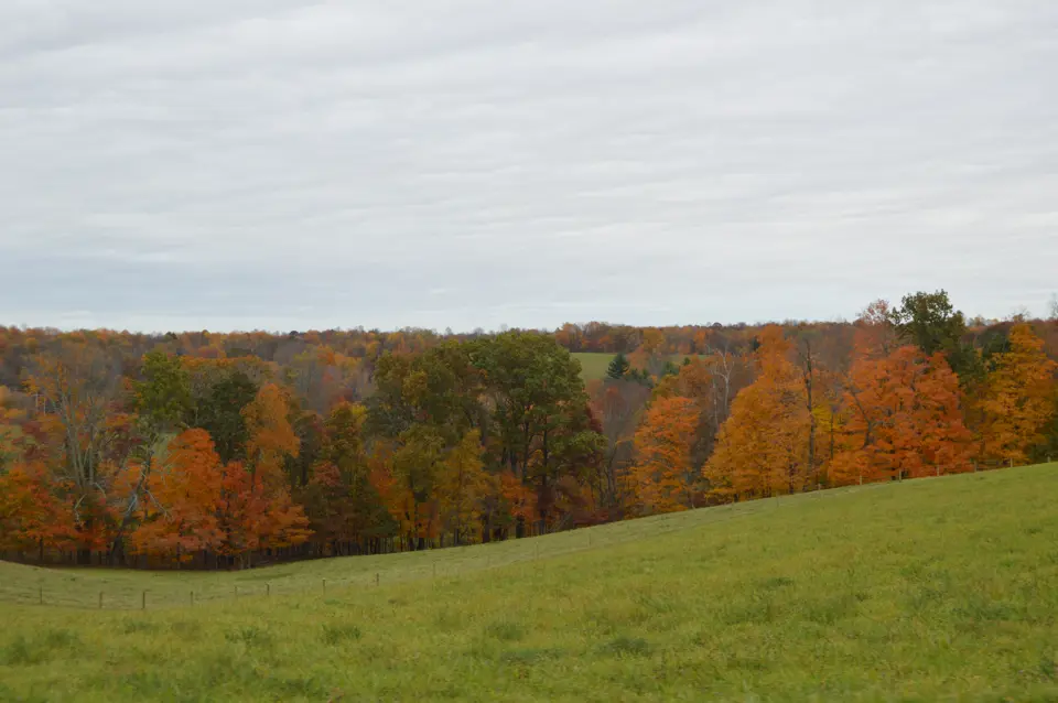 Belmont County