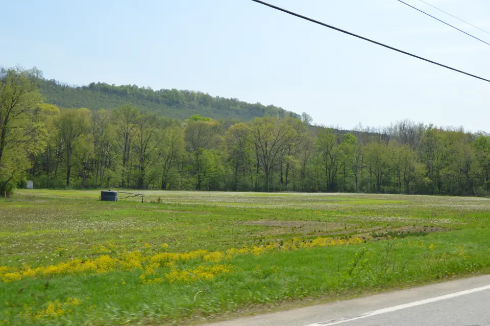 Armstrong County