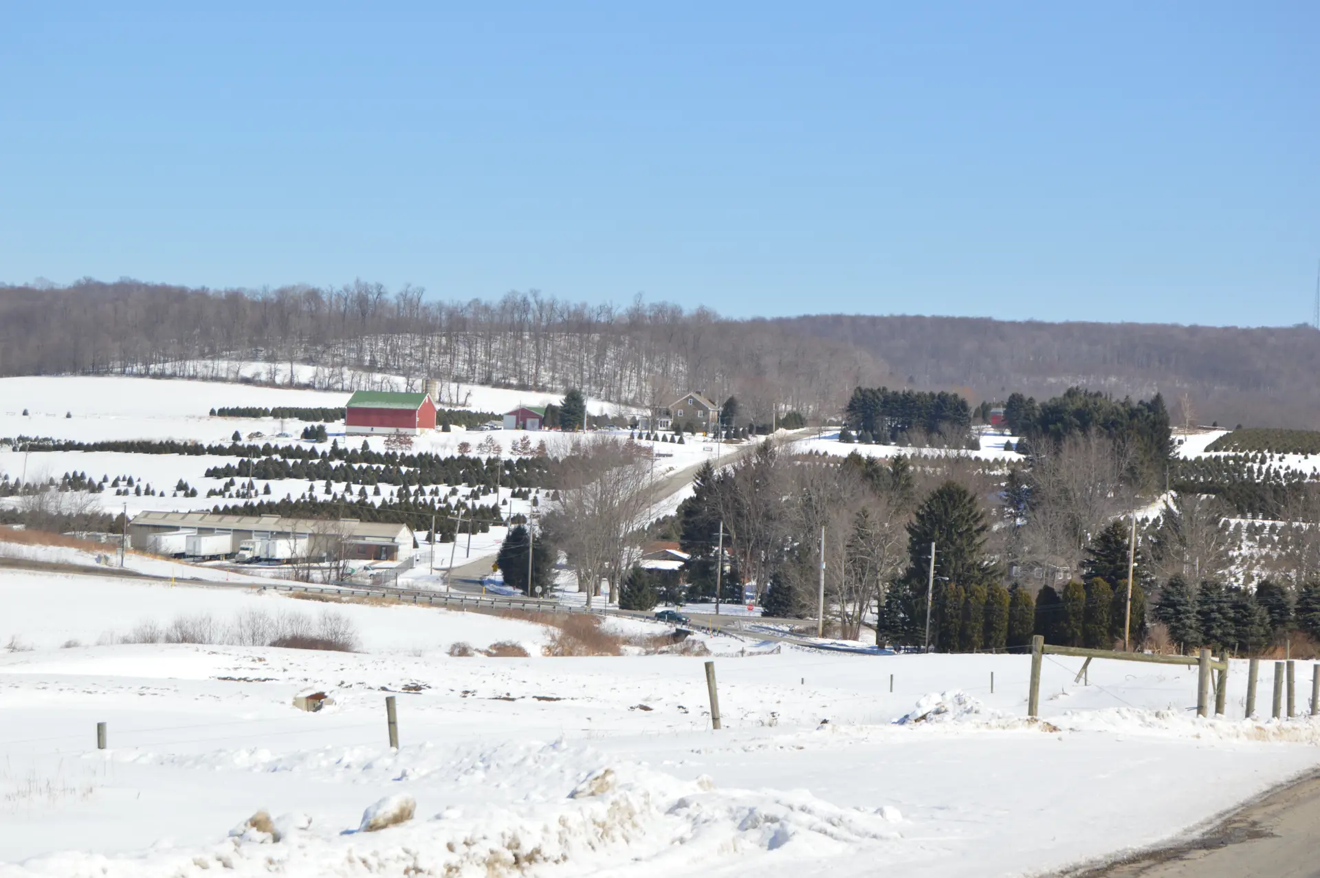 East Wheatfield