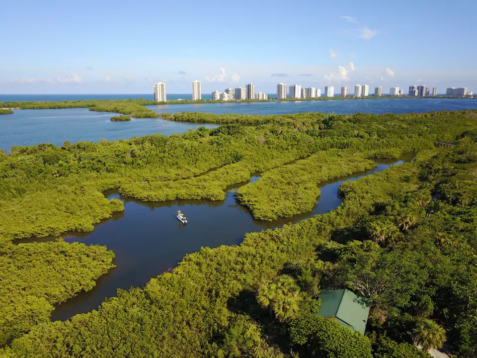 Palm Beach County