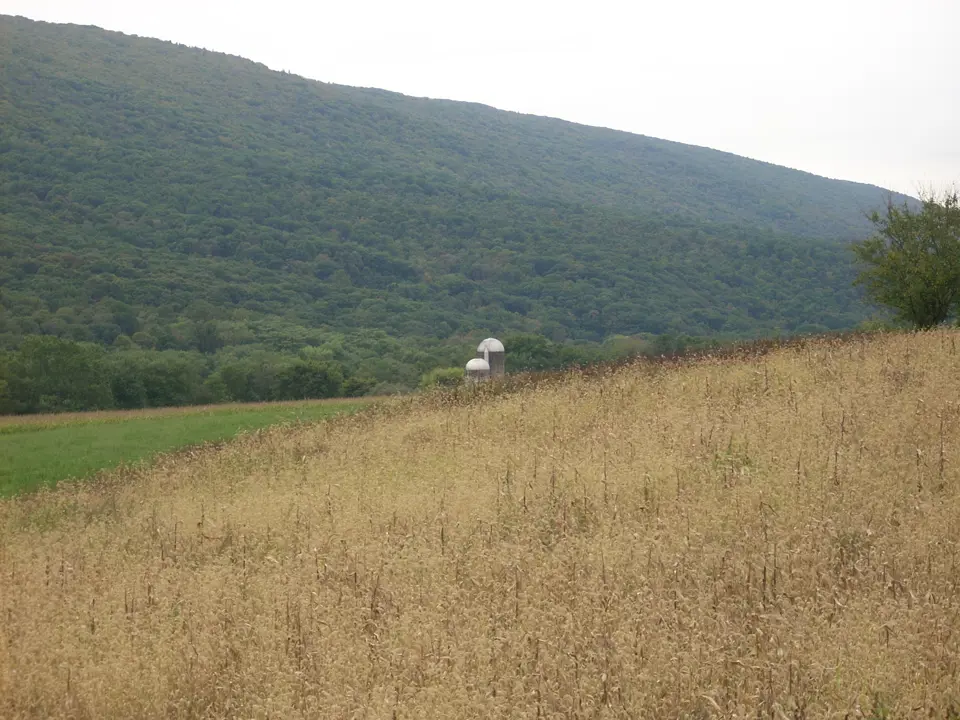 Juniata County