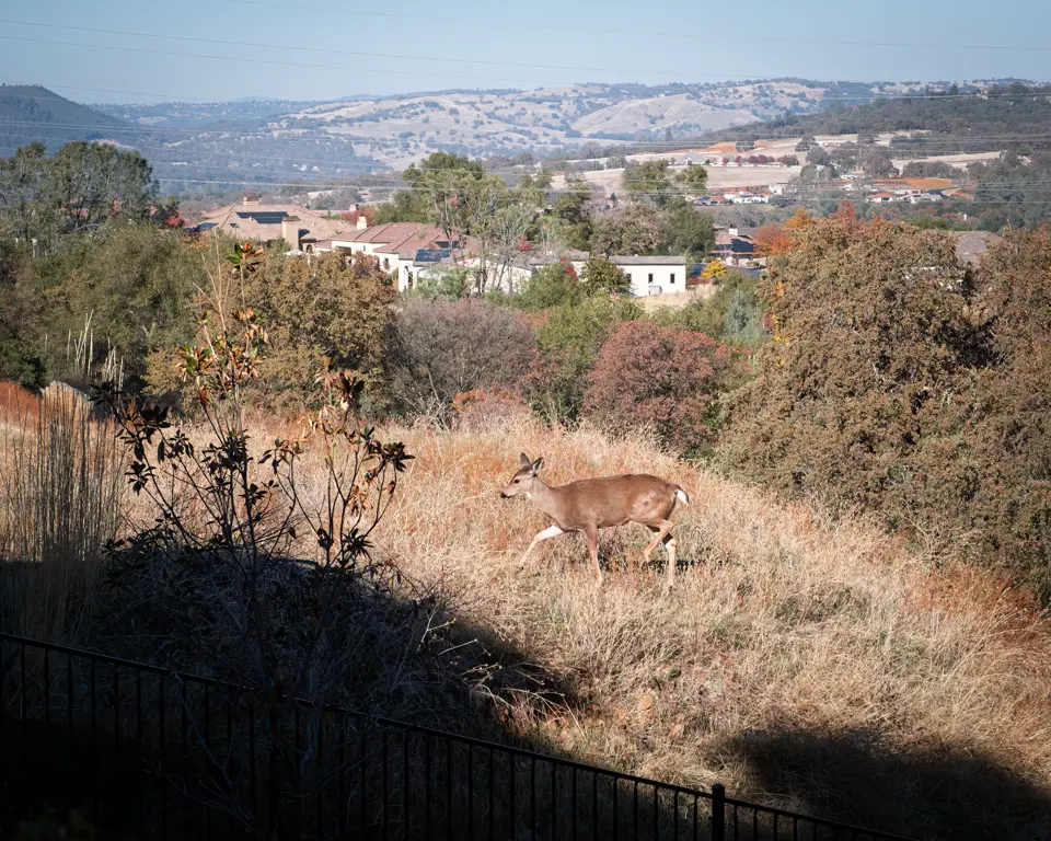 Sacramento County