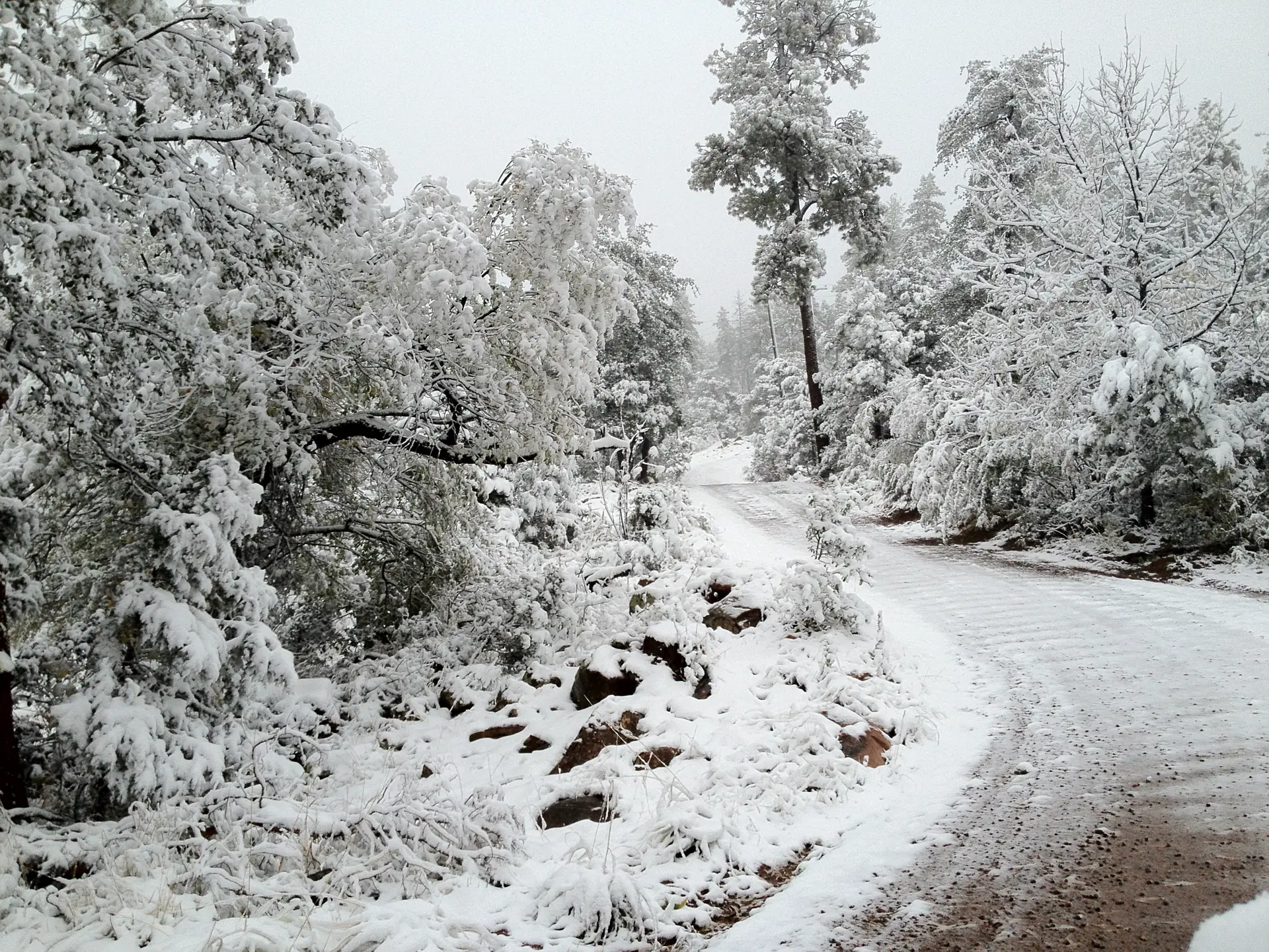 Payson