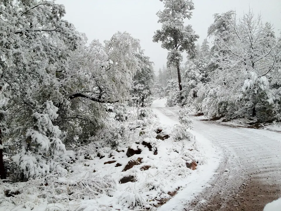 Gila County