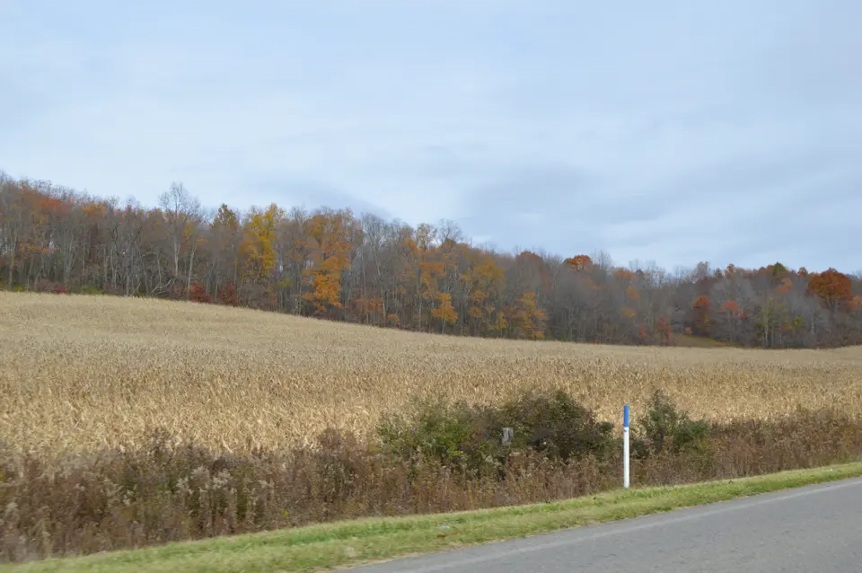 Guernsey County