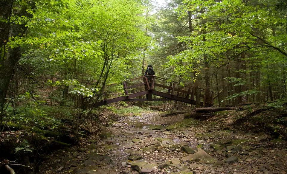 Venango County