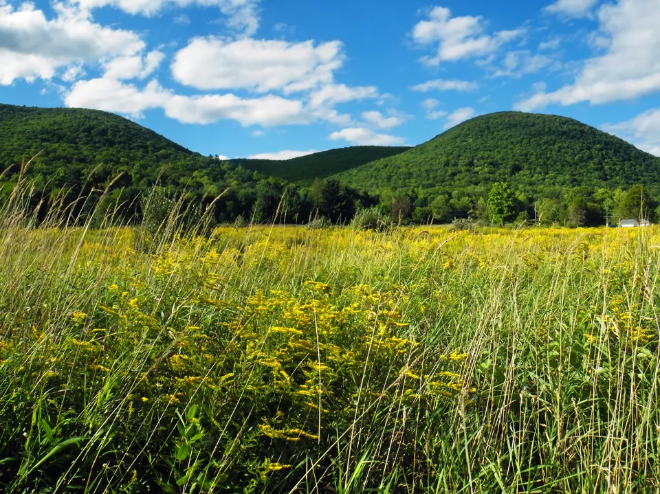 Tioga County