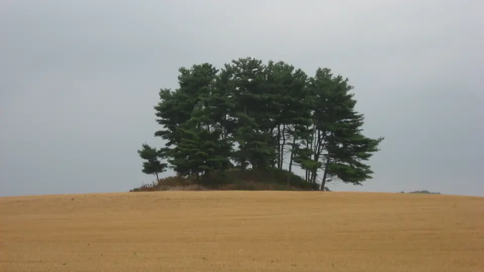 Pickaway County