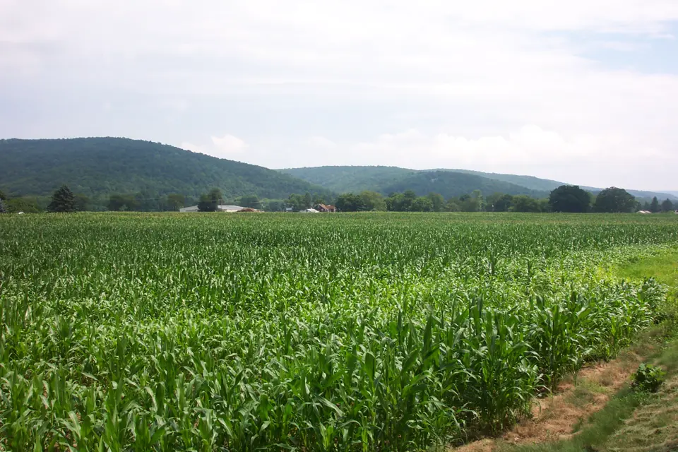 Lycoming County