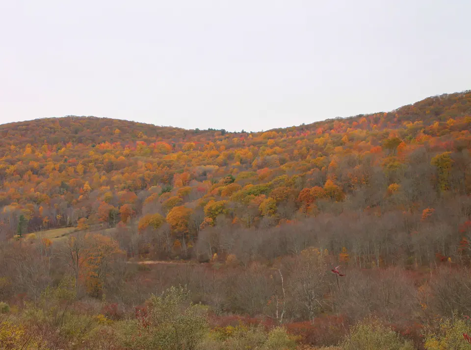 Luzerne County