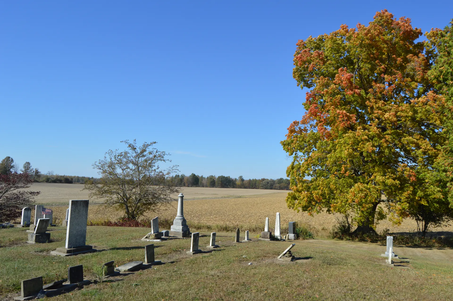 Jackson