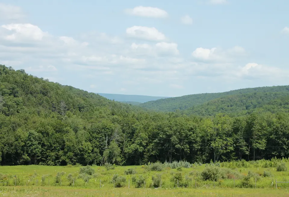 Columbia County
