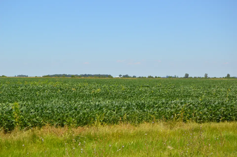 Iroquois County