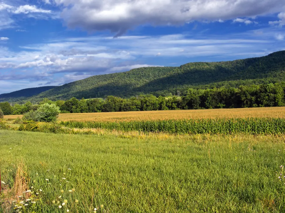Bradford County