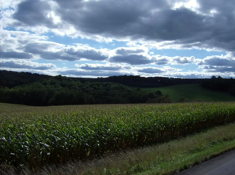 Columbiana County