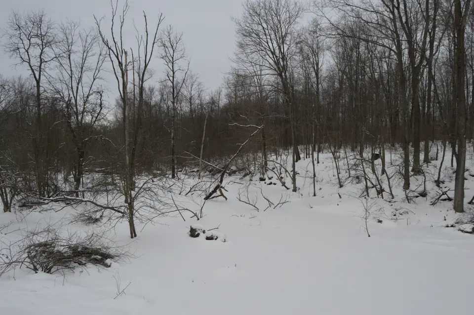 Crawford County