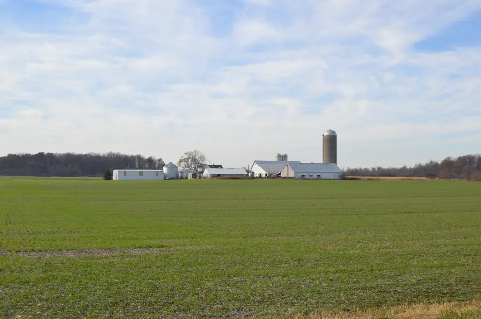 Shelby County