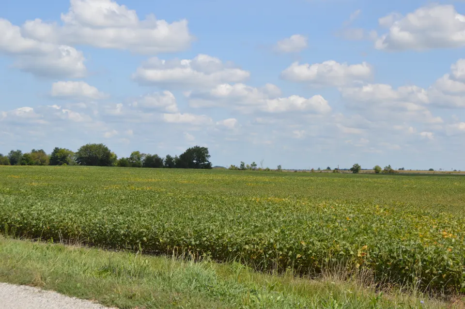 Marion County
