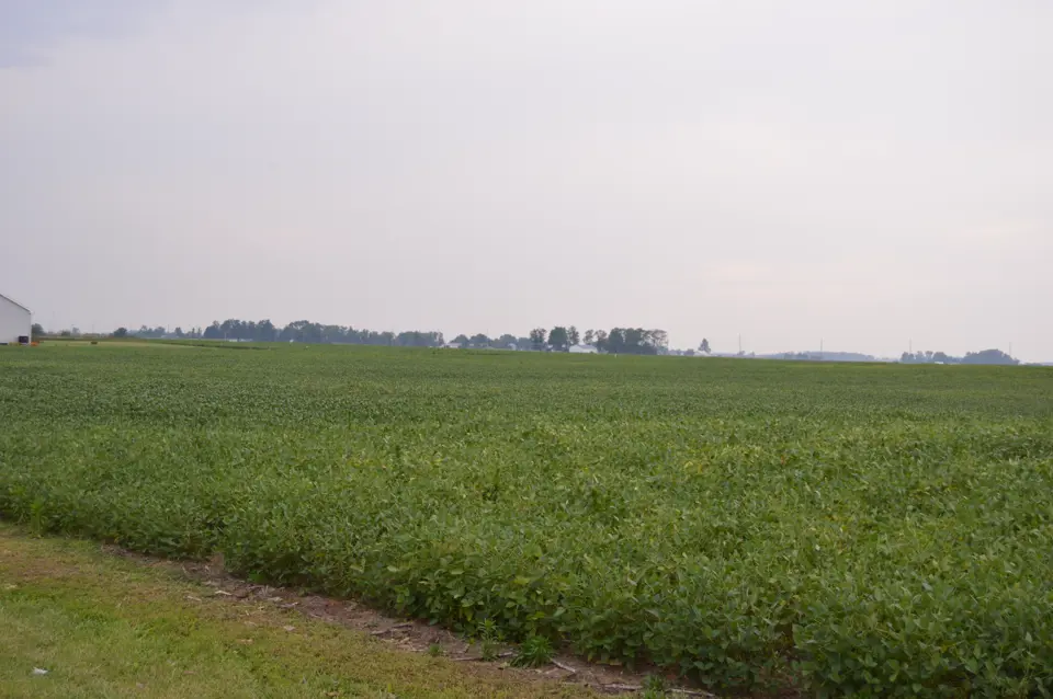 Wood County