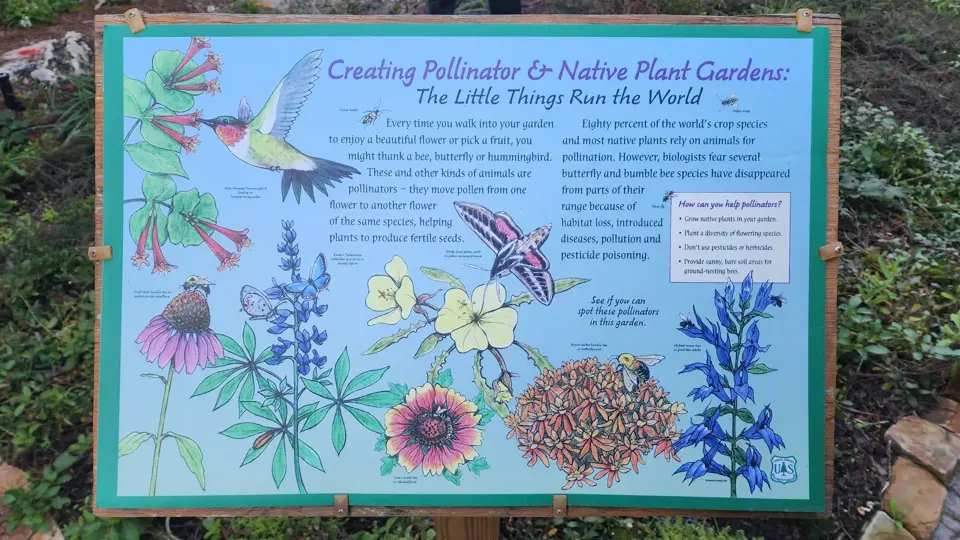 Boyd Hill Nature Preserve