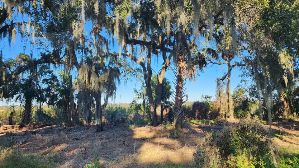 Boyd Hill Nature Preserve