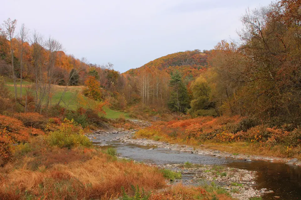 Wyoming County