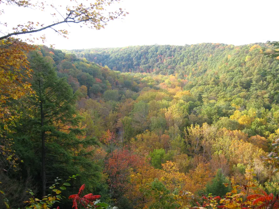 Ashland County