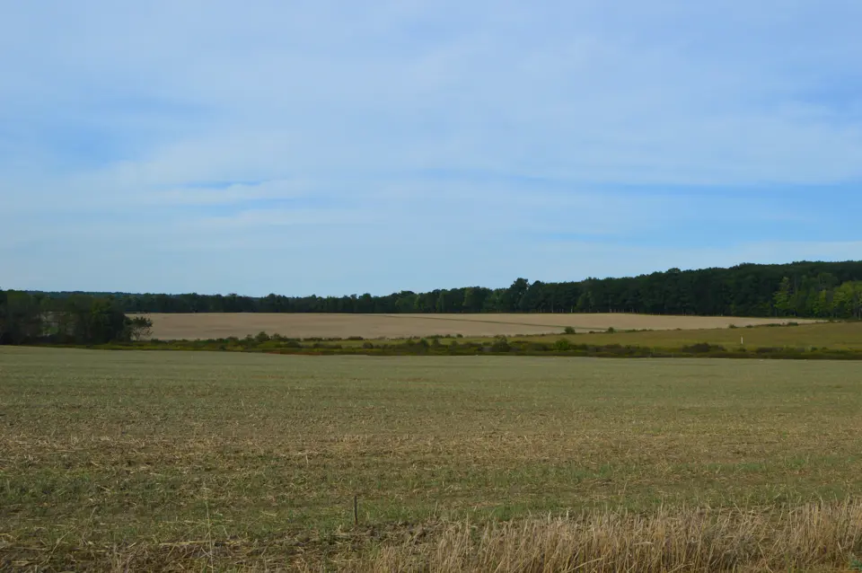 Mercer County