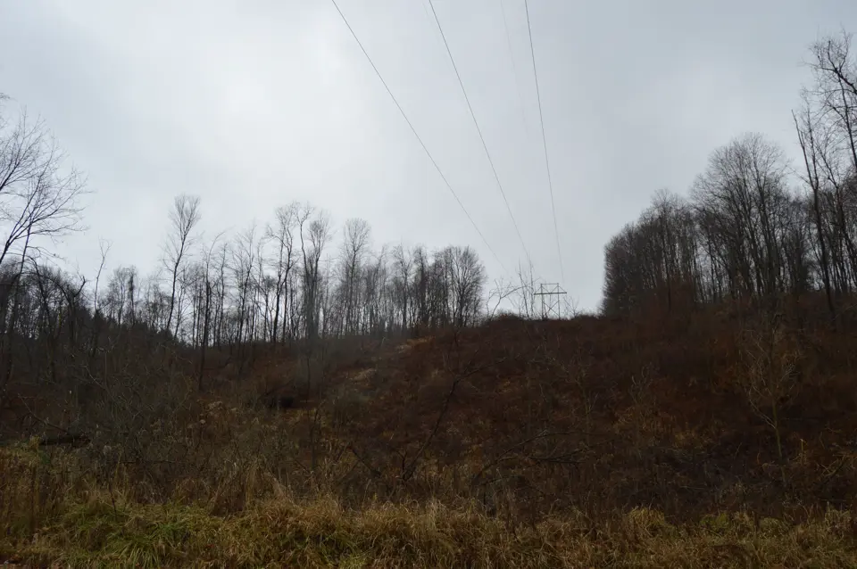 Armstrong County
