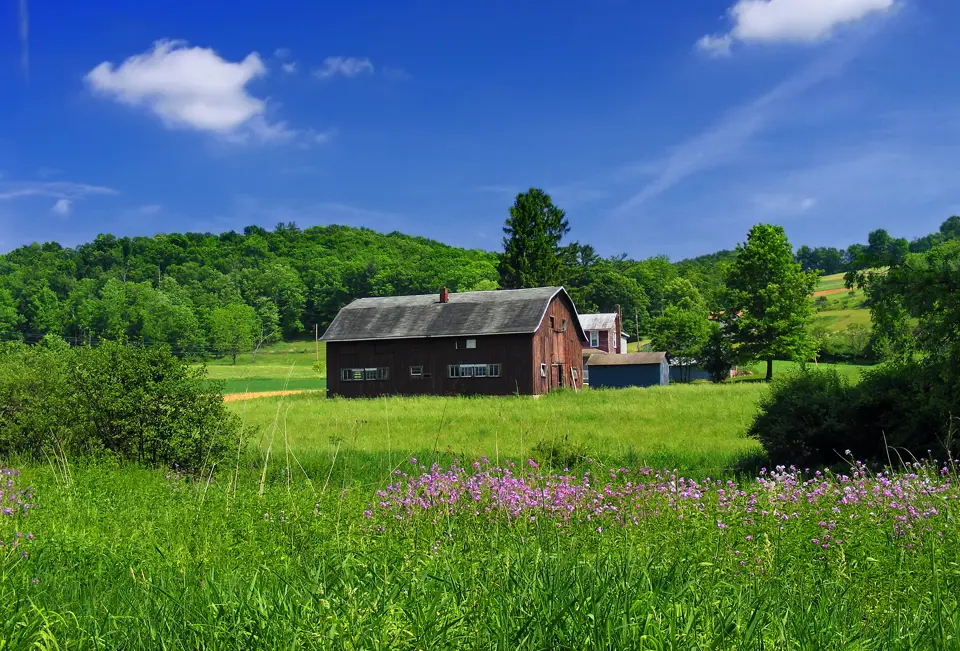Columbia County