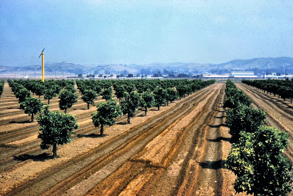 Orange County